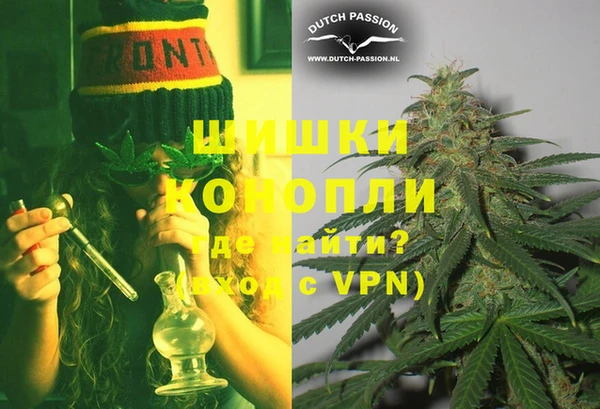 прущие грибы Апатиты