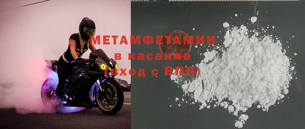 прущие грибы Апатиты