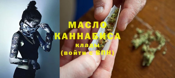 прущие грибы Апатиты