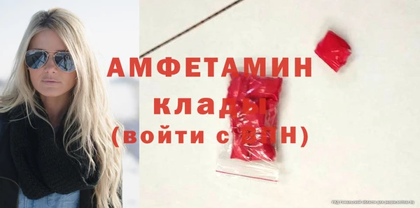 прущие грибы Апатиты