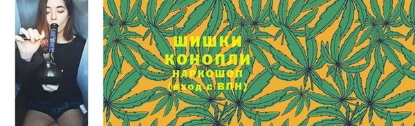 трава Новодвинск