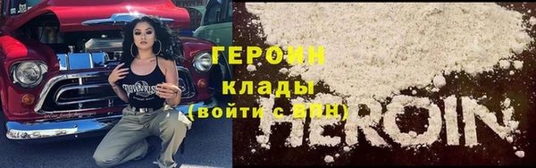 прущие грибы Апатиты