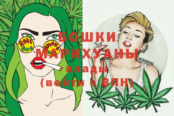 прущие грибы Апатиты