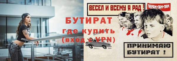 прущие грибы Апатиты